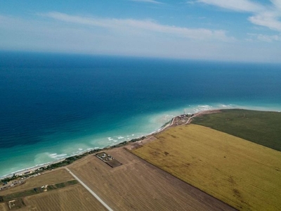 Vand Plaja Tuzla teren la mare - multiple parcele investitie sigura