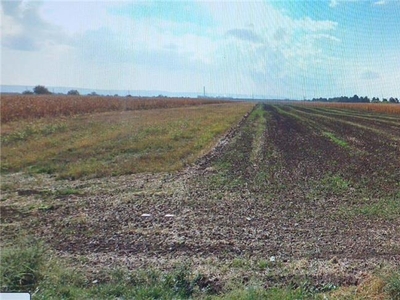 Vanzare teren extravilan cu deschidere la Autostrada A7