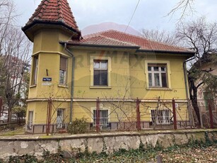 Casavila 8 camere vanzare in Timisoara, Take Ionescu