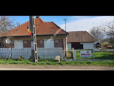 Crucisor Satu Mare casa si teren de vanzare