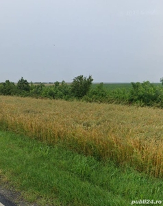 Proprietate Agricolă disponibilă în Brâncoveni, Olt