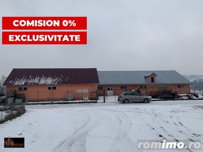 Proprietate Industrială de Vânzare: Două Hale cu Teren în Oncești