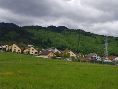 FILM! Cu vedere spre verdele padurii, 750mp teren, zona Bunl