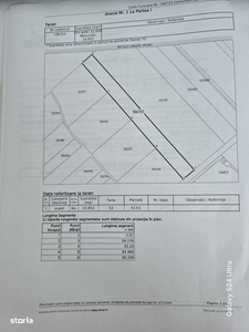 OFERTA Teren 11000m2/ 25000 euro Codlea proiect de plantatie aprobat