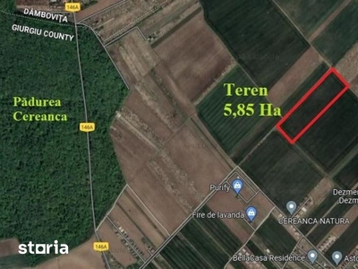 Sabareni, teren intravilan construibil 5,85 ha, intre 2 paduri