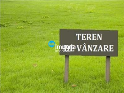 Teren 8800 mp, Hale 2000 mp zona Metalurgie