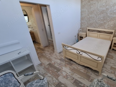 Apartament zona Herastrau, Expozitiei, Arcul de Triumf, Domenii