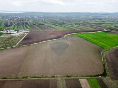 Teren Agricol, Extravilan vanzare, in Botosani, Curtesti