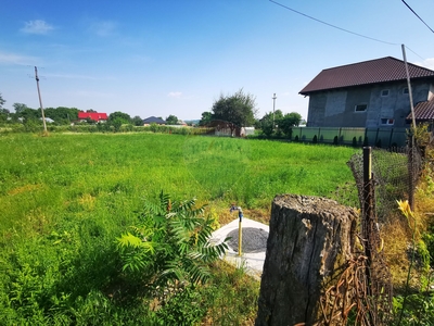 Teren Agricol, Intravilan vanzare, in Neamt, Savinesti