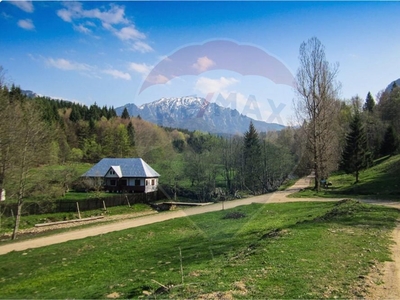 Teren Pădure, Extravilan vanzare, in Brasov, Dalghiu