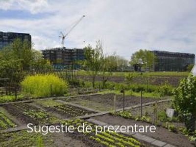 Vanzare teren constructii 0mp, Giarmata, Giarmata