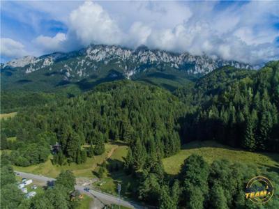 3 hectare de teren langa Cabana Trei Brazi