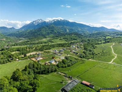 FILM! Teren intravilan,cu peisaj montan spectaculos, Rasnov, Glajerie, Brasov