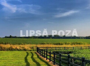 Teren intravilan la periferia orasului Buzau, iesirea spre Ploiesti ~ S=50.000mp ~ utilitati in apropiere ~ Pret: 5/mp