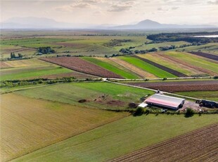 FILM! 18.000 mp,extravilan,agricol+constructii, recomandat:ferma,investitii agricole,Rotbav,Brasov