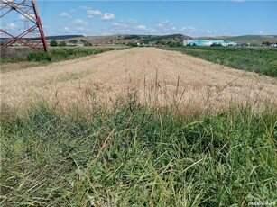 Teren de vanzare, zona industriala