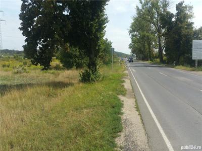 Vind teren la Piatra Fintinele lingăi Hotel Dracula