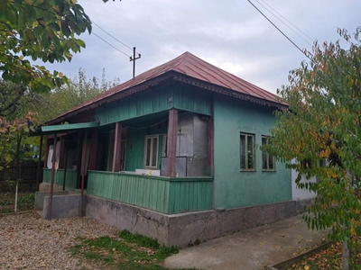 Doua case, curte 950 mp, Bascov - Rotaresti