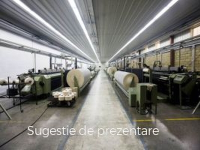 Inchiriere spatiu industrial, Remetea Mare, Remetea Mare