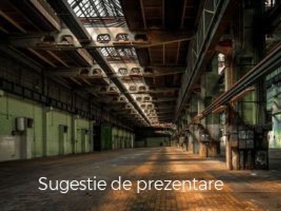 Inchiriere spatiu industrial, Robesti, Robesti