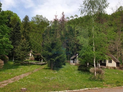 Proprietate cu proiect aprobat pe fonduri europene, sat vacanta, Gherla, Cluj