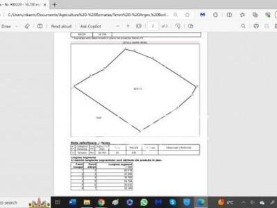 TEREN PASUNE 7,1 HA BORLESTI/ARGES 10 EURO/MP NEGOCIABIL