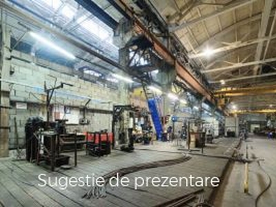 Vanzare spatiu industrial, 1 Decembrie, 1 Decembrie