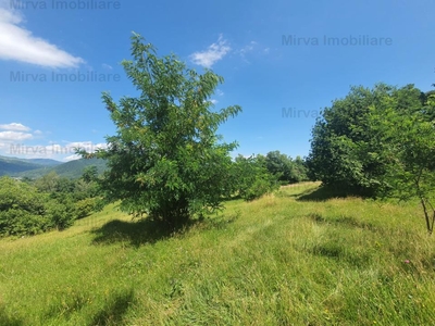 Vanzare teren intravilan cu vedere spre barajul Paltinu , in Sotrile