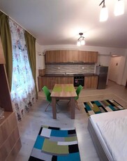 Apartament cu 1 camera, zona Nicolina 1- LIDL