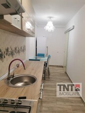 Inchiriere Apartament Nicolina 1 Camere