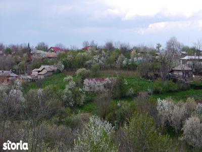 Teren intravilan, sat Plopsoru, com Daia, judetul Giurgiu