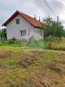 Vand casa cu gradina mare în Bethausen jud. Timis