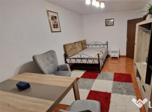 Apartament cu o camera in zona Lipovei