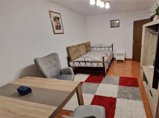 Apartament cu o camera in zona Lipovei