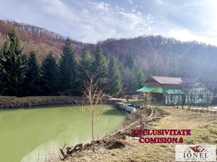 Casa de vacanta cu balta de peste de vanzare in Glogovet (Valea Lunga) - Blaj