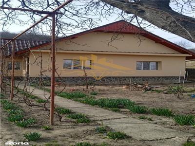 Casa cu teren in suprafata de 1800 mp de vanzare NEGOESTI ONESTI