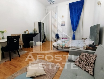 Apartament cu 1 camera, confort sporit, situat in Paiata Victoriei