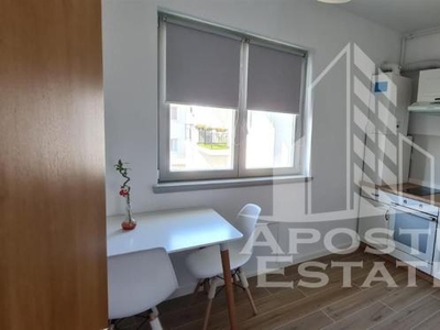 Apartament cu 2 camere in Monarch Village