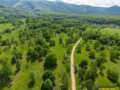 FILM! 14.000mp, recomandat agroturism, in pitoreasca asezare montana, Sinca Noua