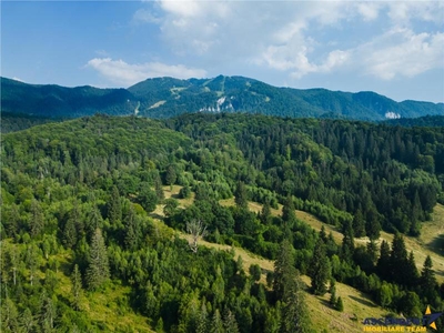 Film!!Punct de inatlnire cu natura! Poiana Brasov Rasnov,350.000mp,destinatie turistica si agrement