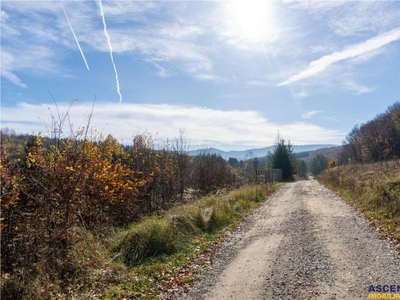 Oaza de liniste, in mijlocul naturii, Vladeni, Brasov