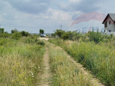 Teren Construcții, Extravilan vanzare, in Bucuresti Ilfov, Otopeni, Odai