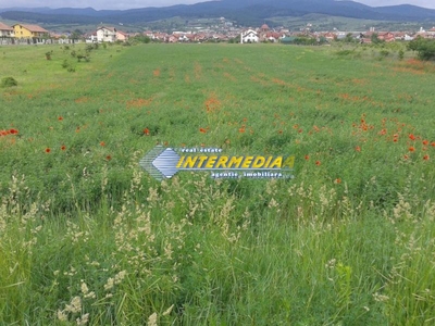 Teren intravilan 4300 mp de vanzare Alba Iulia, Zona Cetate