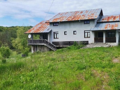 Vanzare casa Cotmeana, stradal