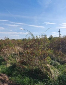 Vanzare teren industrial, zona Vama - Arpechim