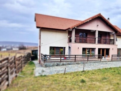 Vanzare vila deosebita, 7 camere, Labusesti-Uiasca