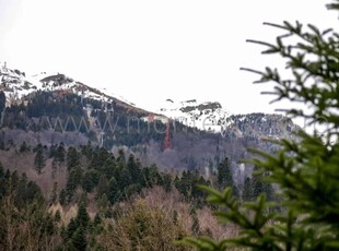 Teren de vanzare in Sinaia, cu vecinatati de exceptie !!!