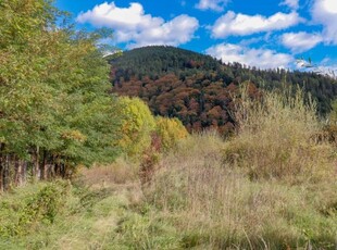 Teren de vanzare in Sinaia, pretabil proiect imobiliar!