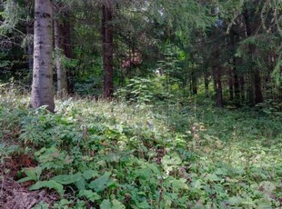 Teren de vanzare, in Sinaia, situat la 2 minute de parcul orasului!!!