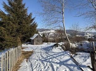 Teren extravilan 2.1 ha Salatruc, Vama